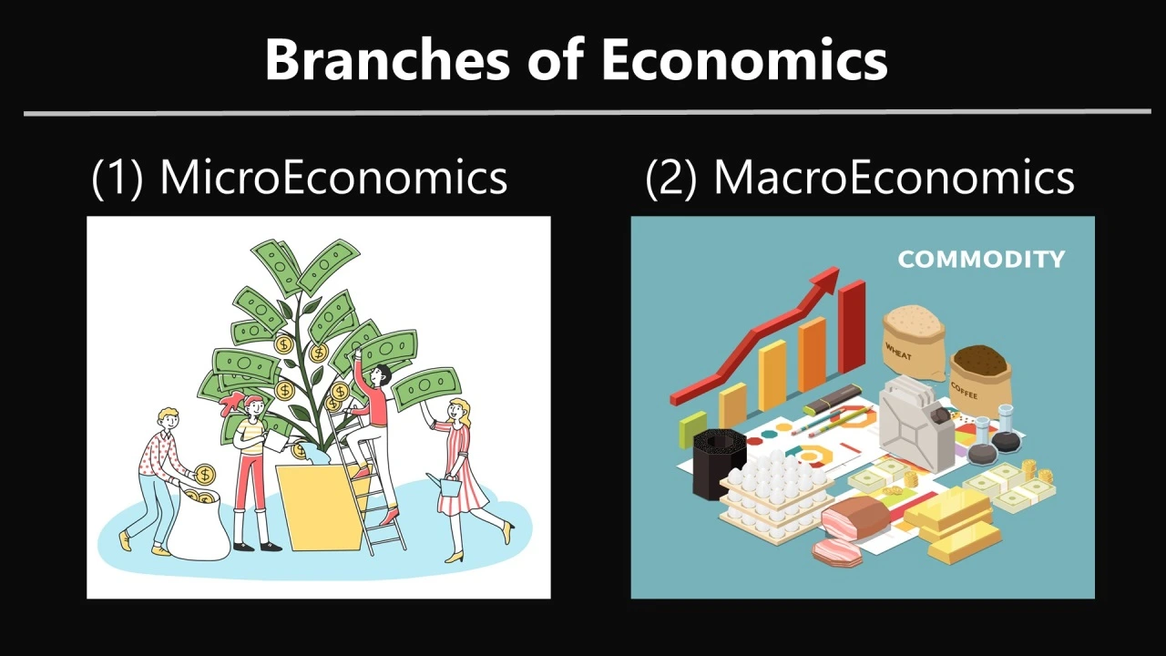شاخه های اقتصاد Branches of economy