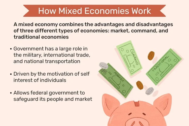 سیستم اقتصادی مختلط Mixed Economic Systems