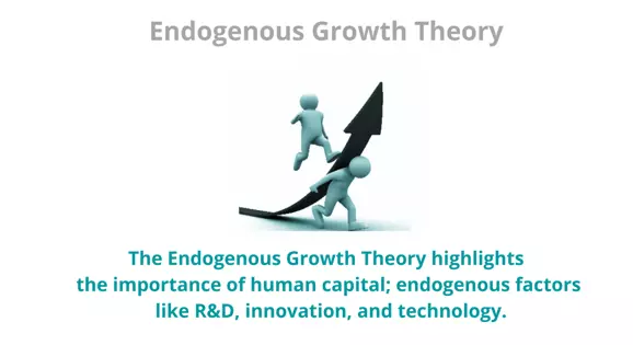 نظریه رشد درون زا Endogenous Growth Theory