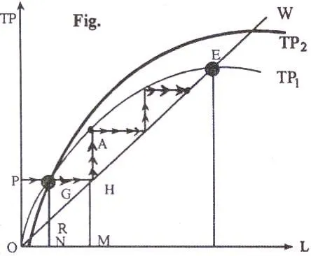 نظریه رشد کلاسیک Classical Growth Theory