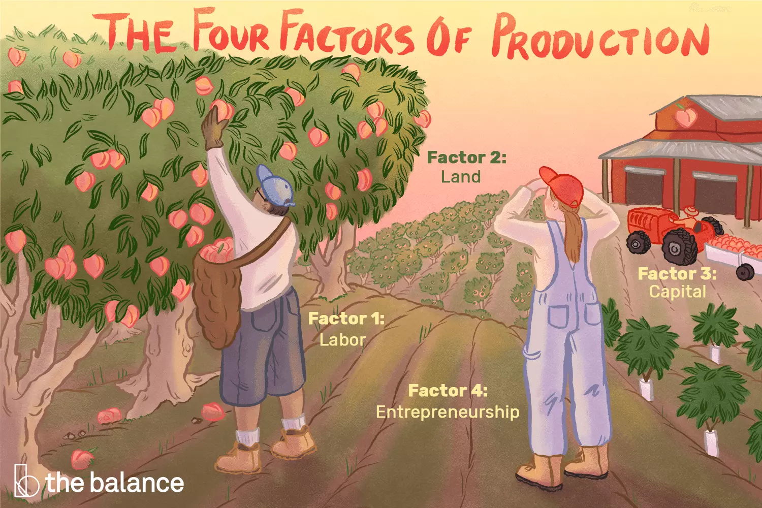 عوامل تولید Factors of Production