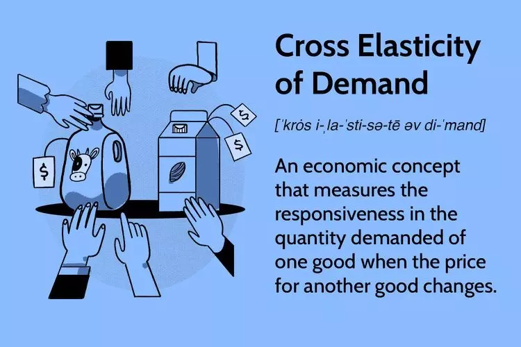 کشش متقاطع تقاضا Cross Elasticity Demand