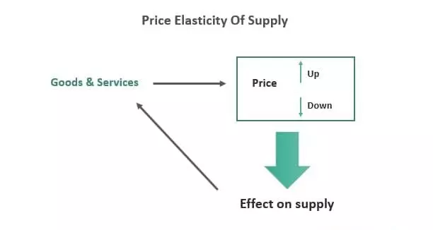 کشش قیمت عرضه Price Elasticity Of Supply