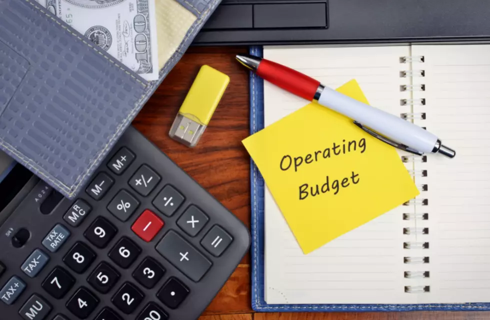 بودجه عملیاتی Operating Budget