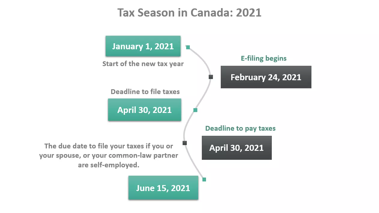 فصل مالیات Tax Season