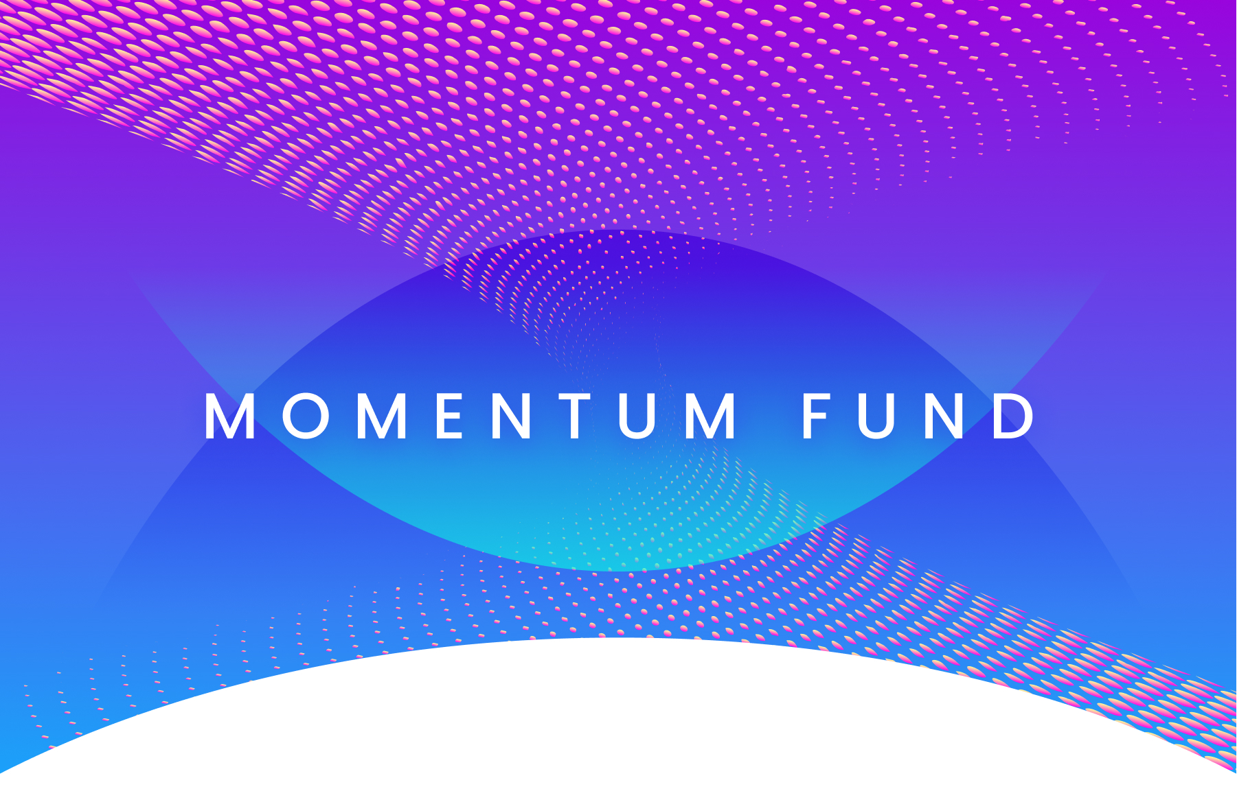 صندوق مومنتوم Momentum Fund