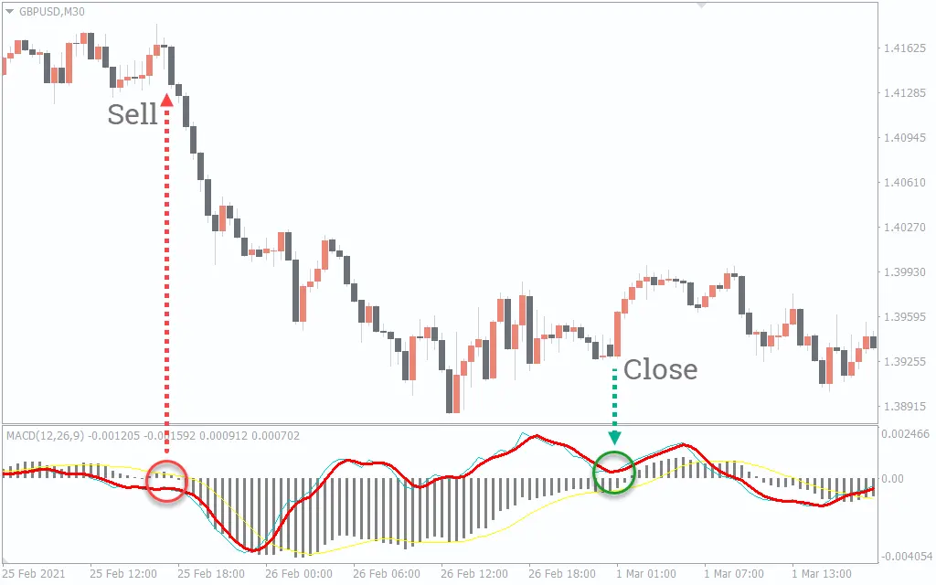 اندیکاتور MACD Momentum 