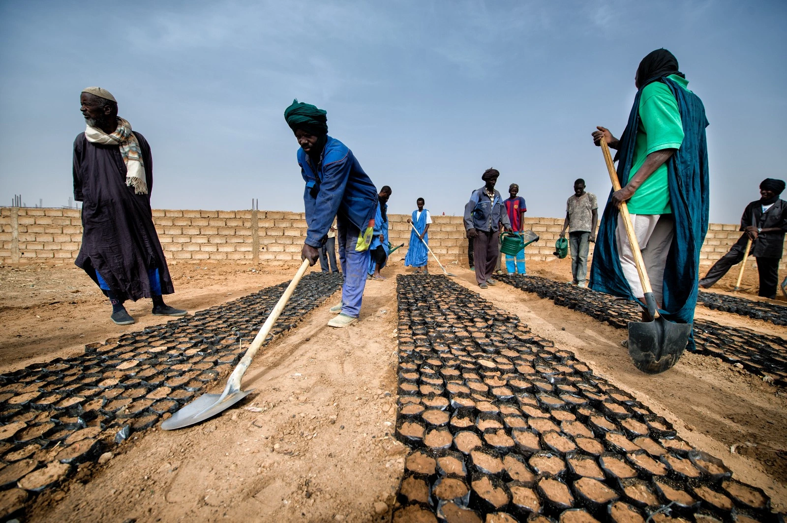 نظریه بوسروپی Boserupian Theory