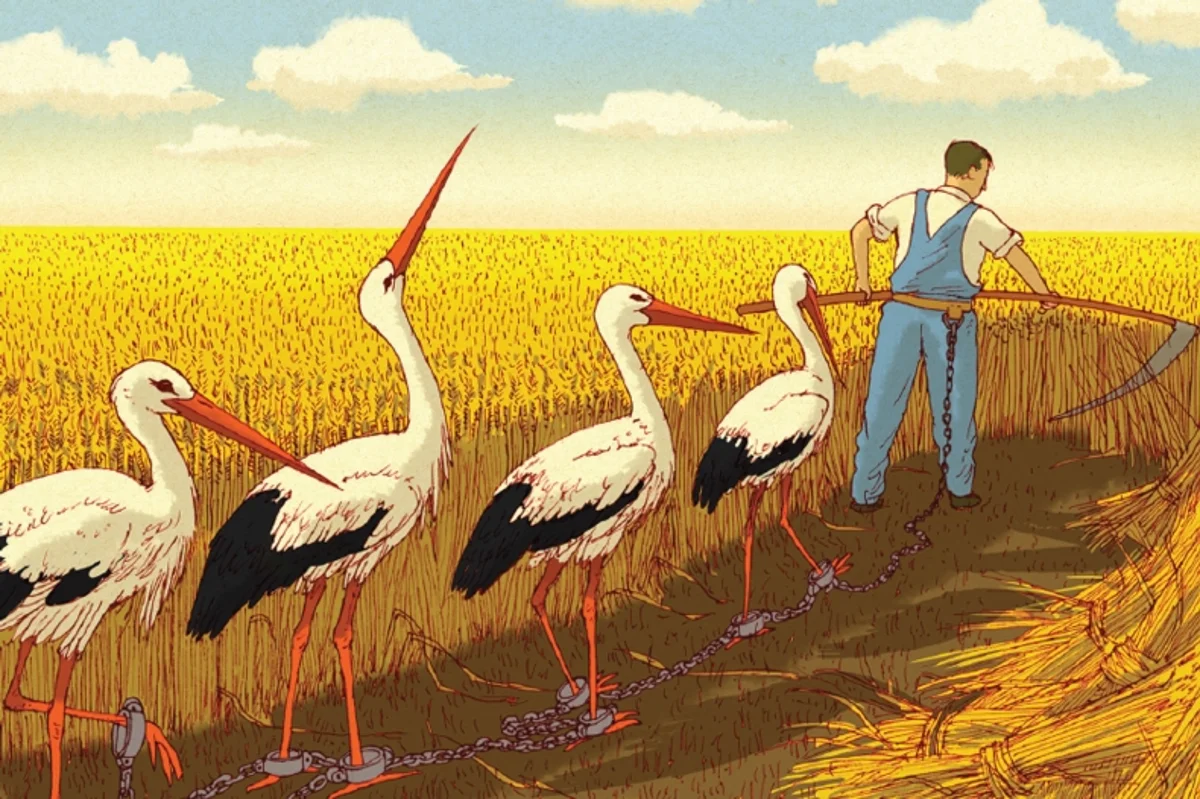 مالتوس‌گرایی Malthusianism