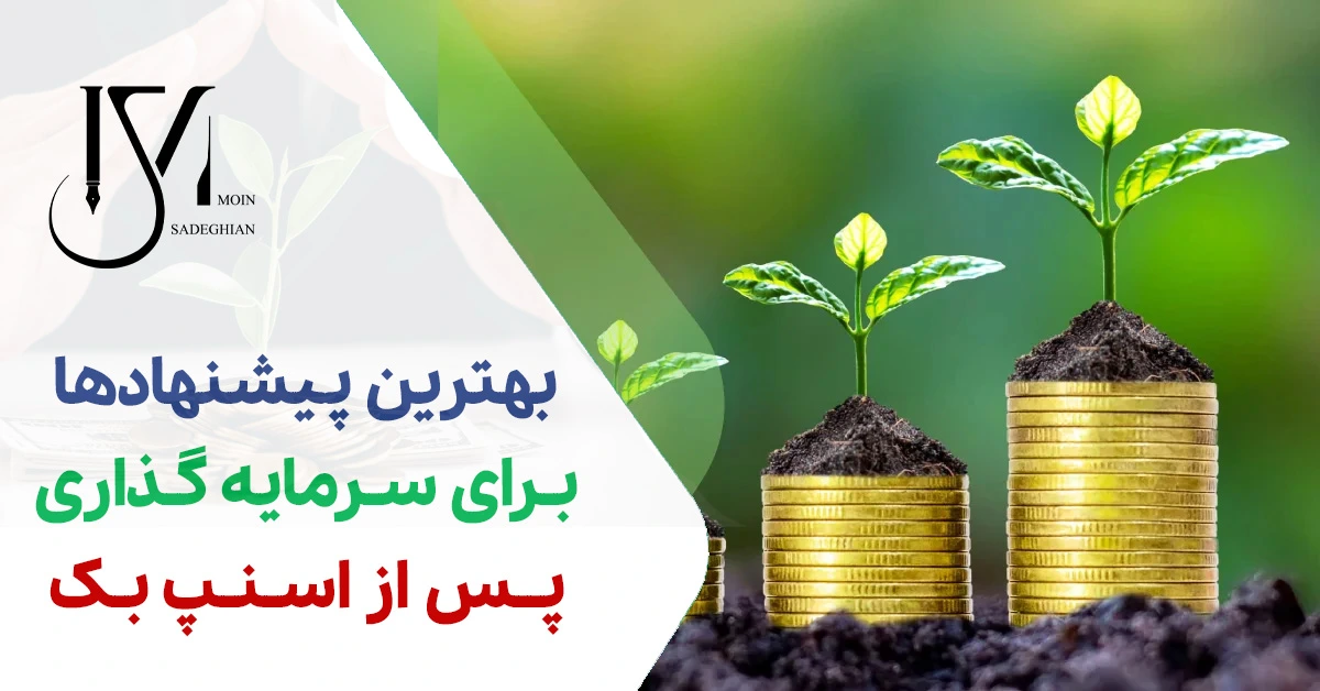 بهترین پیشنهاد برای سرمایه گذاری پس از اسنپ بک