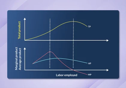 تولید کل Total Product