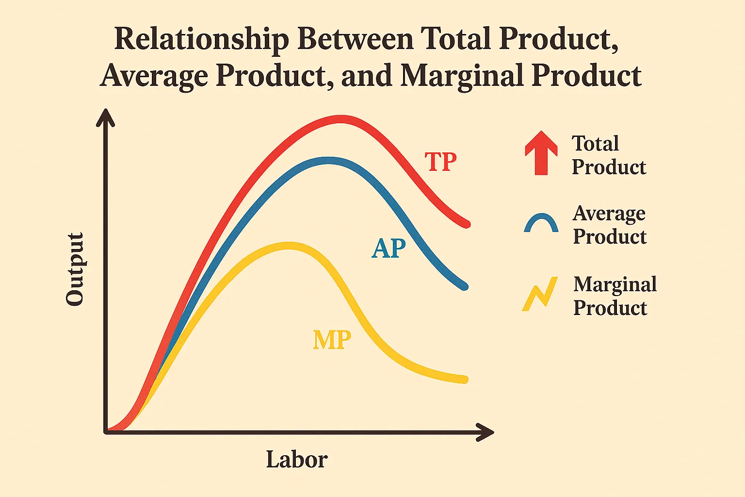 تولید کل Total Product