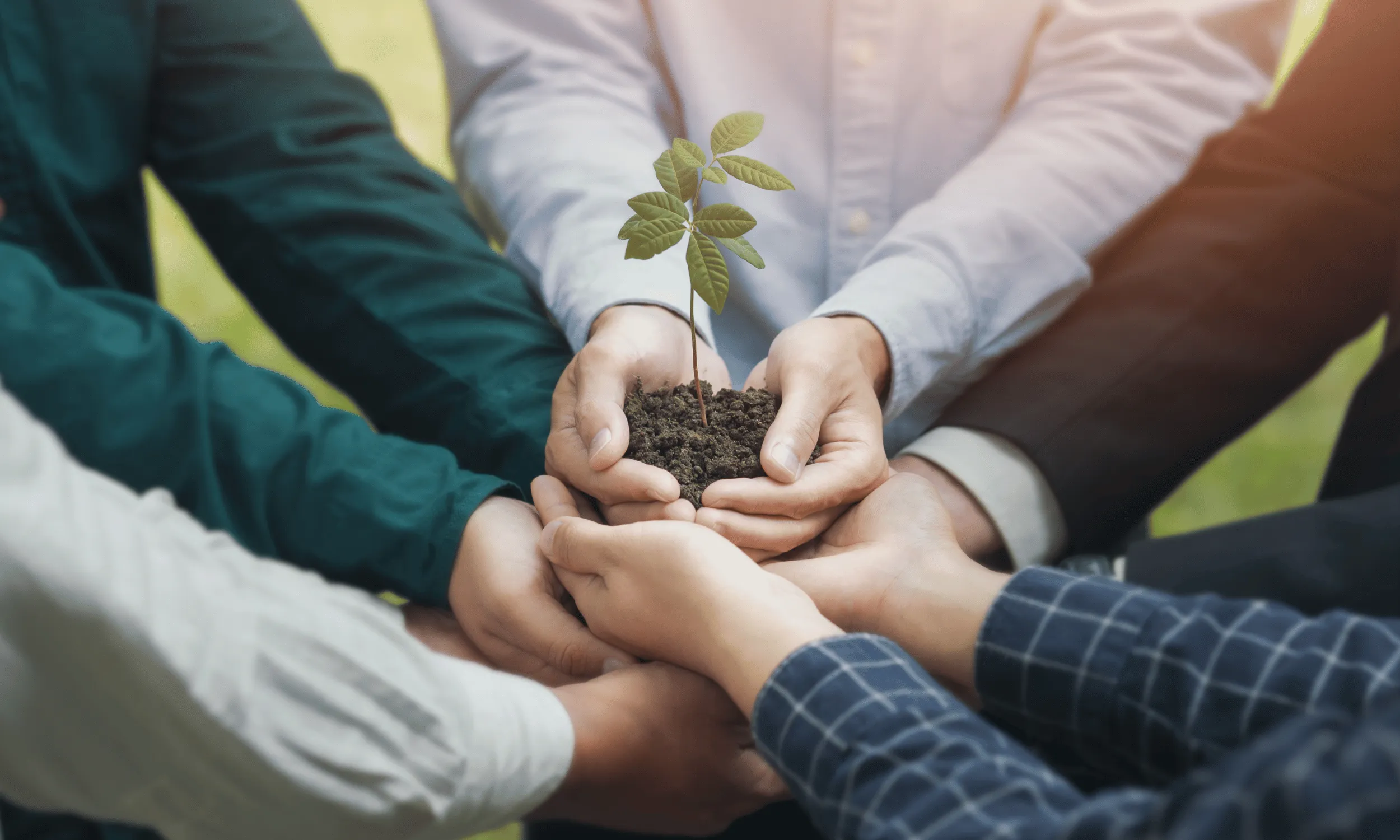 رشد پایدار sustainable growth