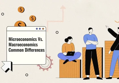 کاربرد اقتصاد خرد در اقتصاد کلان