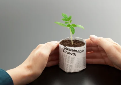 رشد پایدار sustainable growth