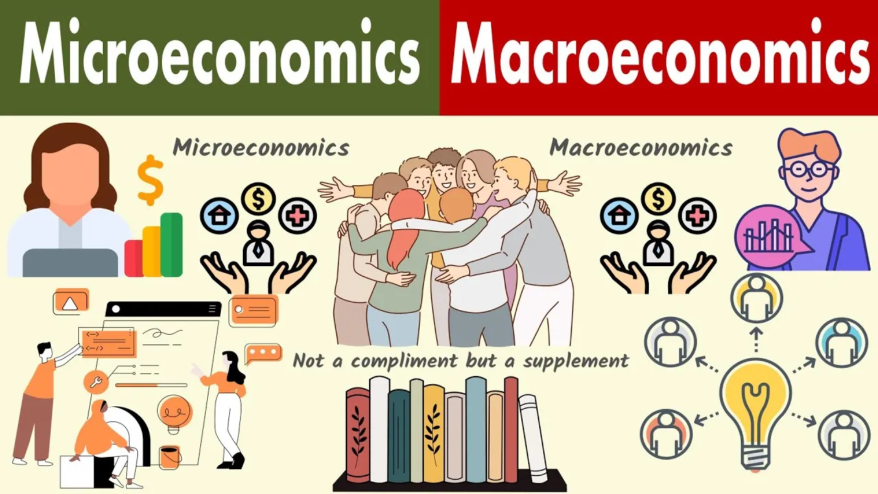 کاربرد اقتصاد خرد در اقتصاد کلان